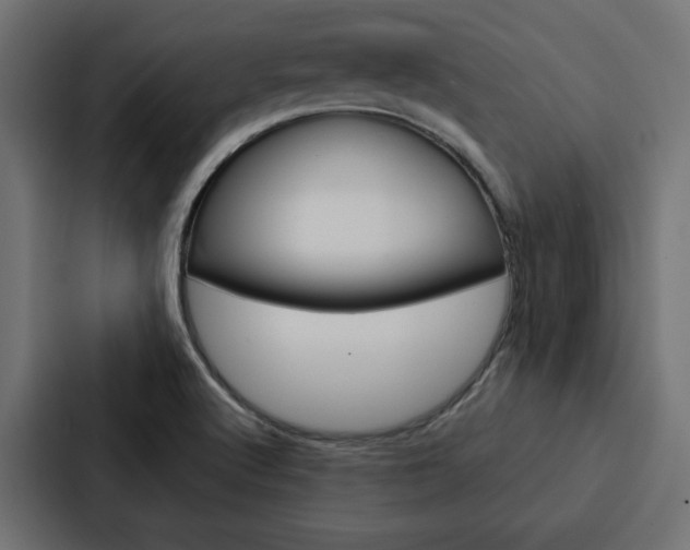 X0000088221512200705151019
