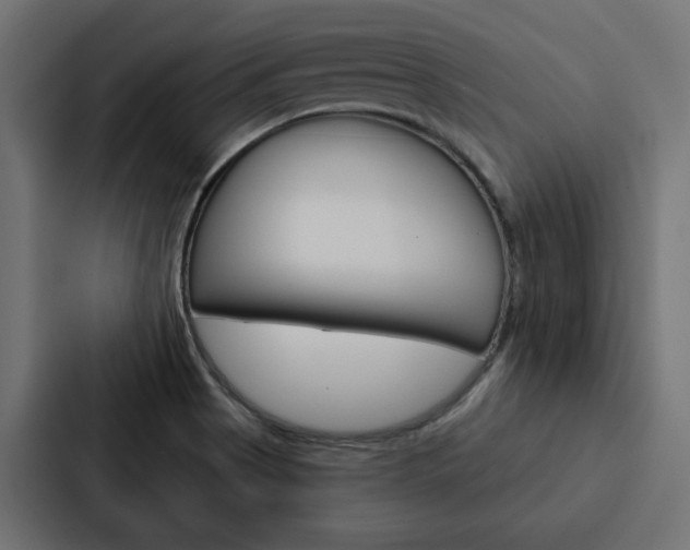 X0000088221513200705151019