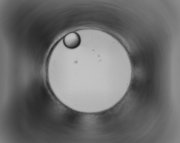 X0000088221514200705151019