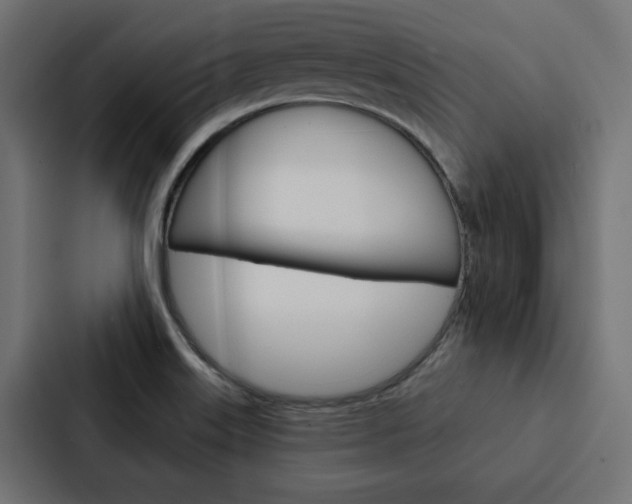 X0000088221515200705151019