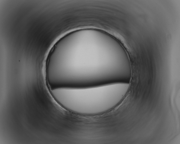 X0000088221516200705151019