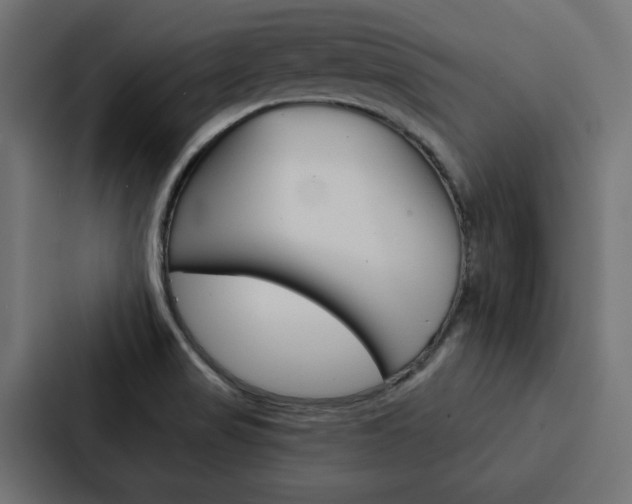 X0000088221517200705151019