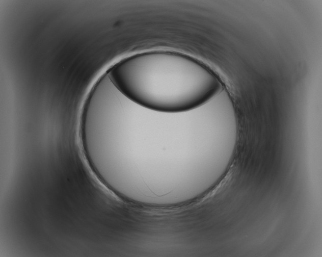 X0000088221518200705151019