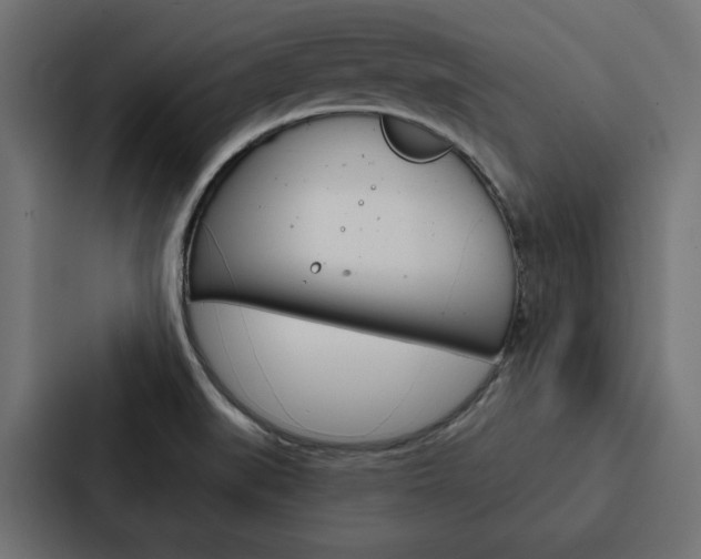 X0000088221519200705151019