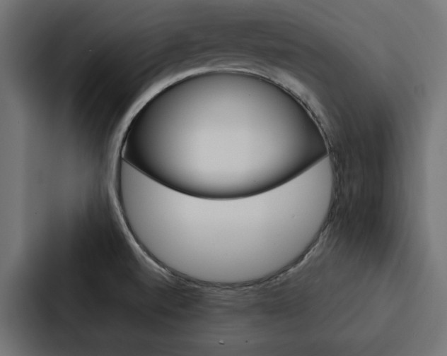 X0000088221520200705151019