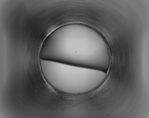 X0000088221521200705151019