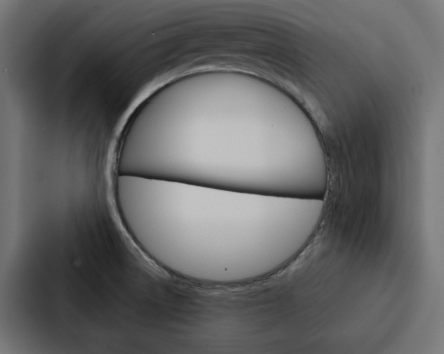 X0000088221522200705151019