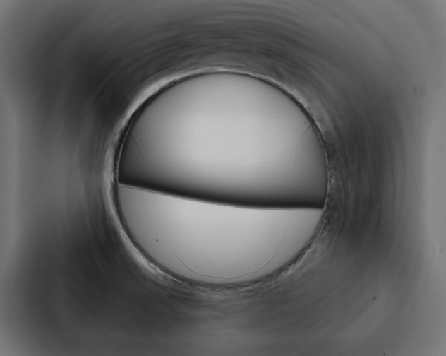 X0000088221523200705151019