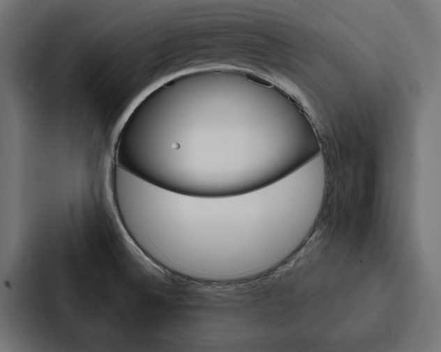X0000088221524200705151019