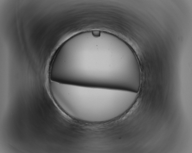 X0000088221525200705151019