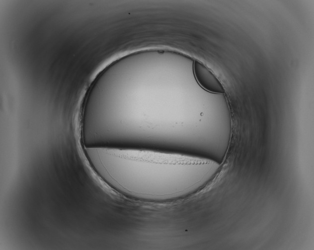 X0000088221526200705151019