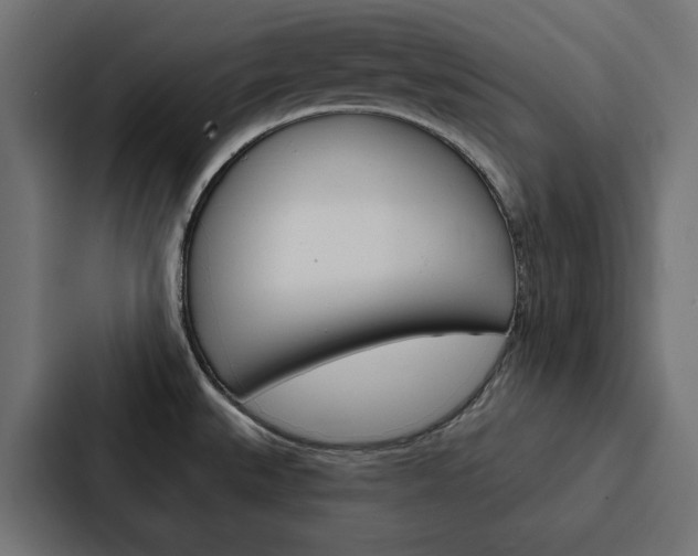X0000088221527200705151019