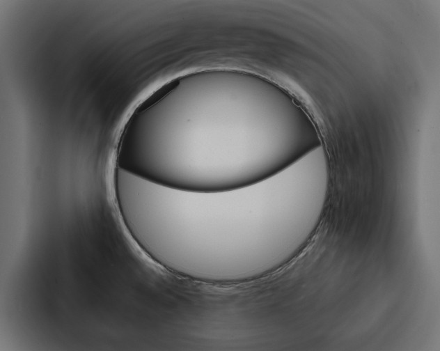 X0000088221528200705151019