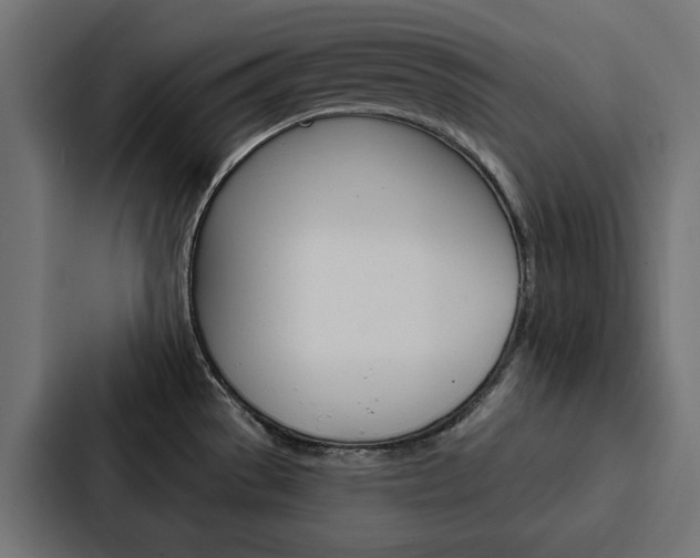 X0000088221529200705151019