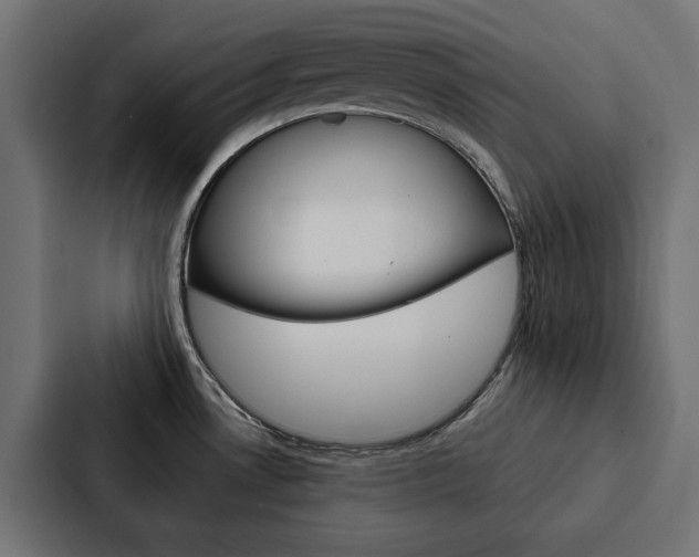 X0000088221530200705151019