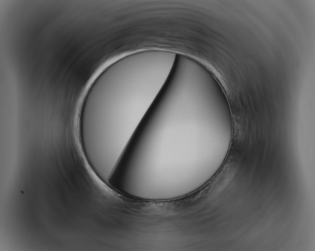 X0000088221531200705151019