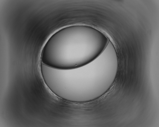 X0000088221532200705151019