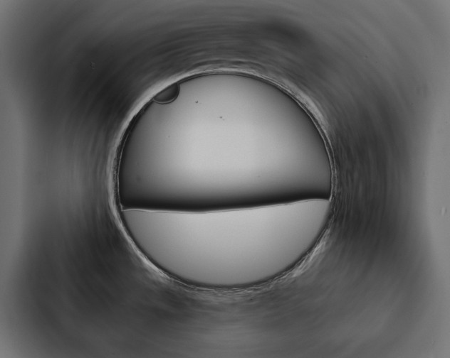 X0000088221533200705151019