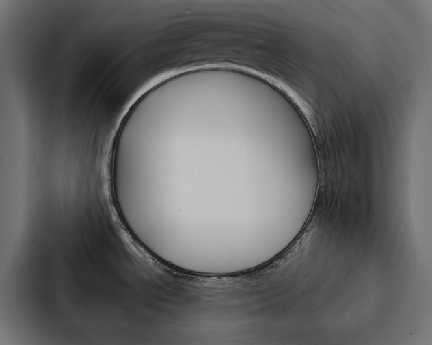 X0000088221534200705151019