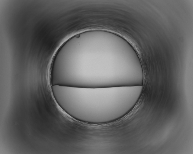 X0000088221535200705151019
