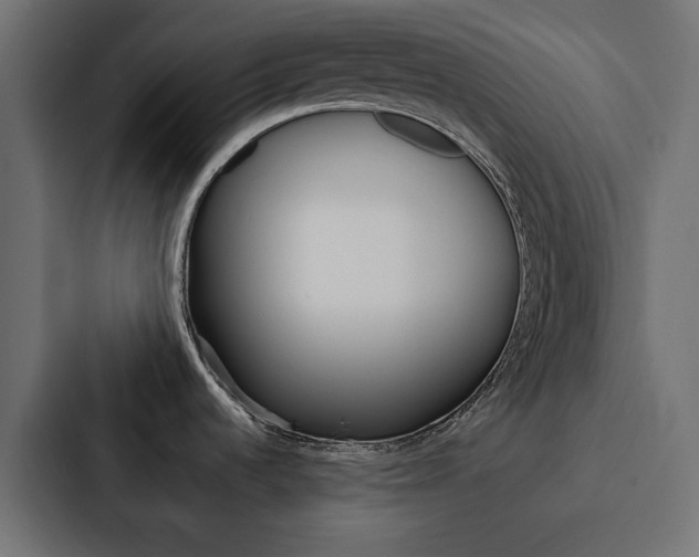 X0000088221536200705151019