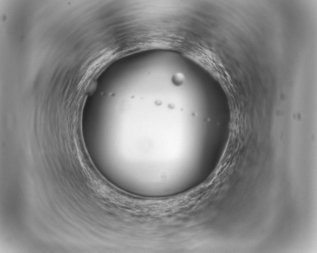 X0000088220001200705151425