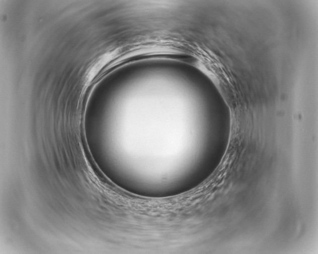 X0000088220003200705151425