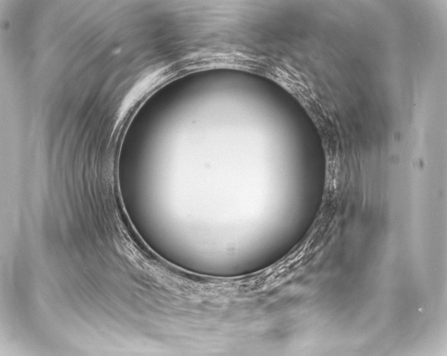 X0000088220004200705151425