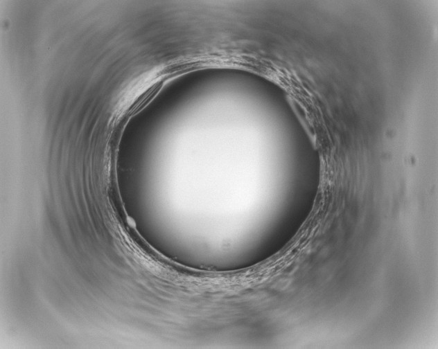 X0000088220005200705151425