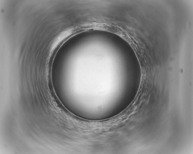 X0000088220006200705151425