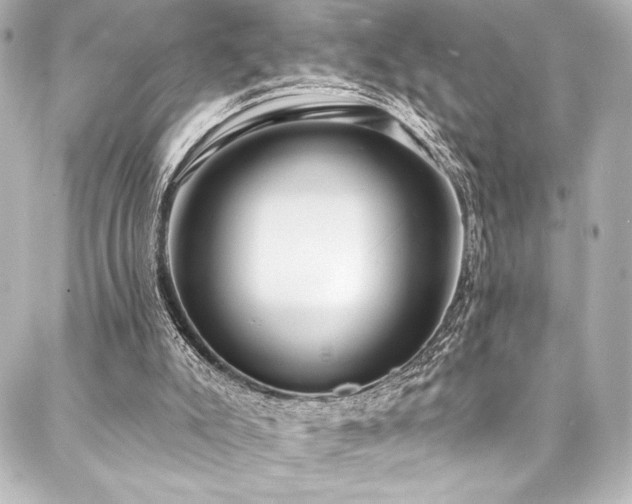 X0000088220007200705151425