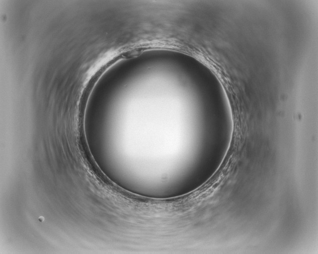 X0000088220008200705151425