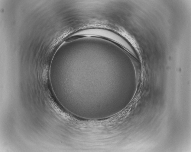 X0000088220009200705151425