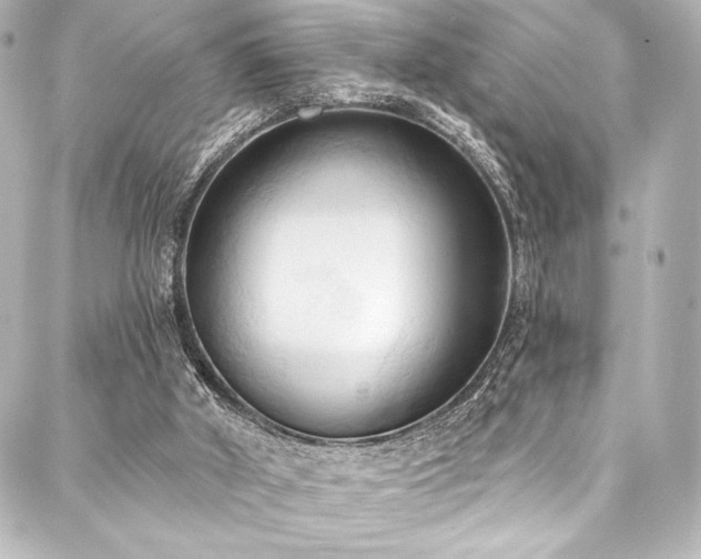 X0000088220010200705151425