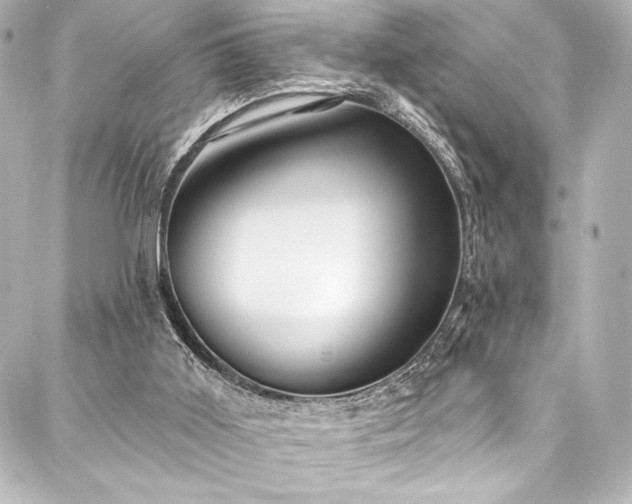 X0000088220011200705151425