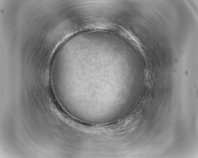 X0000088220012200705151425