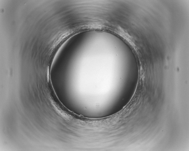 X0000088220013200705151425