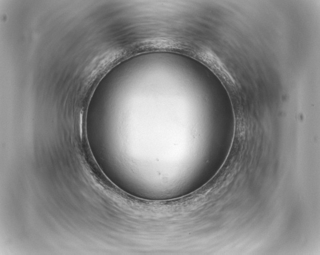 X0000088220014200705151425