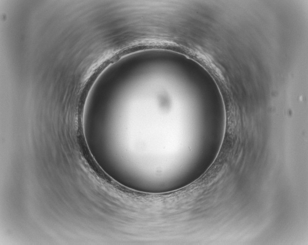 X0000088220015200705151425