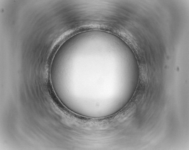 X0000088220016200705151425