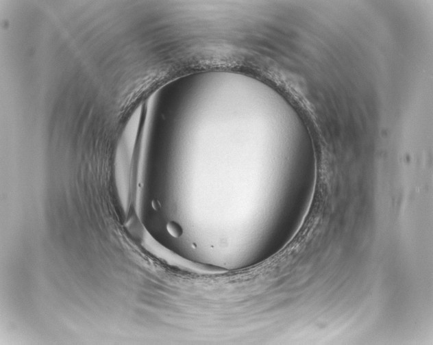 X0000088220017200705151425