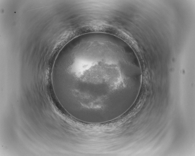 X0000088220018200705151425