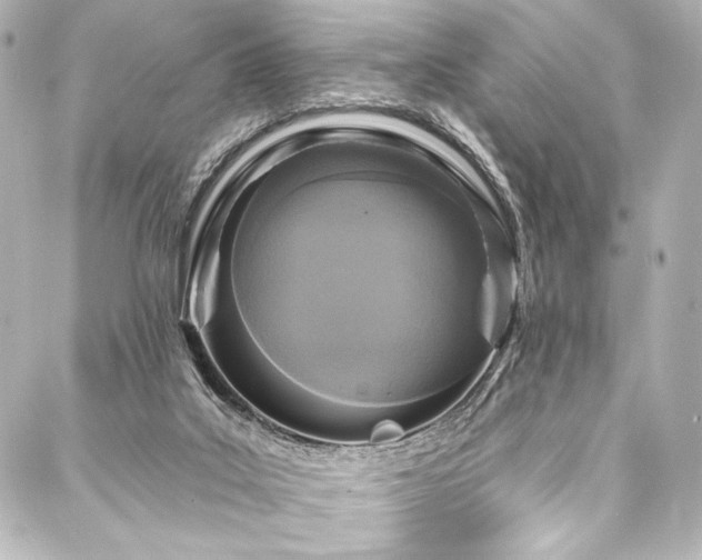 X0000088220019200705151425