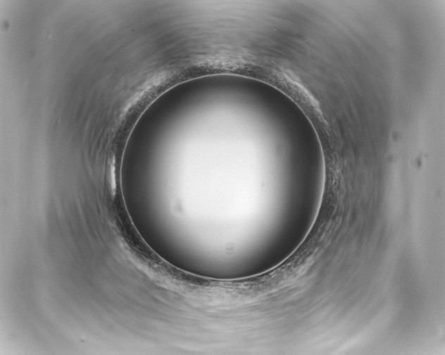 X0000088220020200705151425