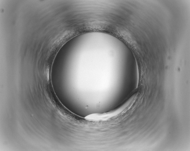 X0000088220021200705151425