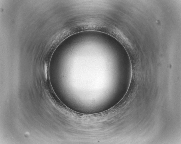 X0000088220022200705151425