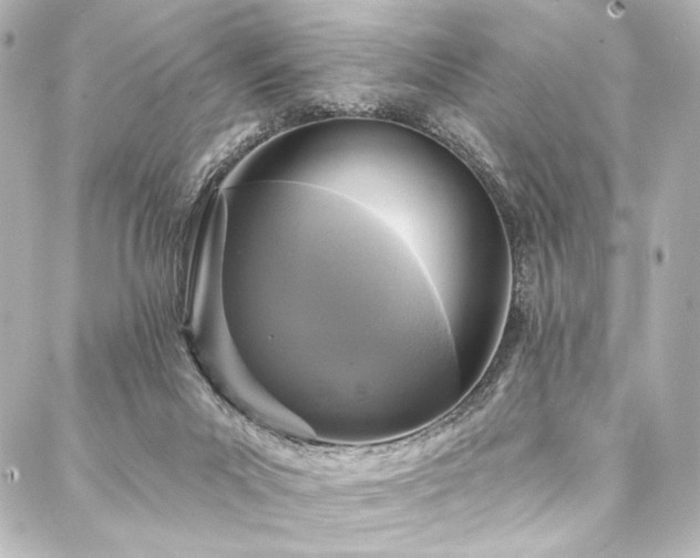 X0000088220023200705151425