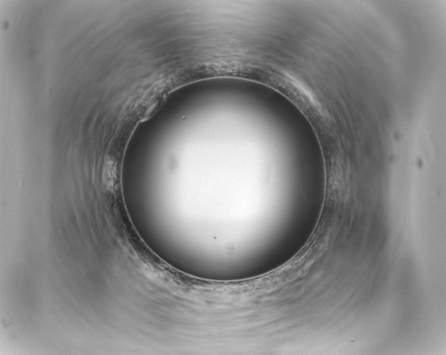 X0000088220025200705151424