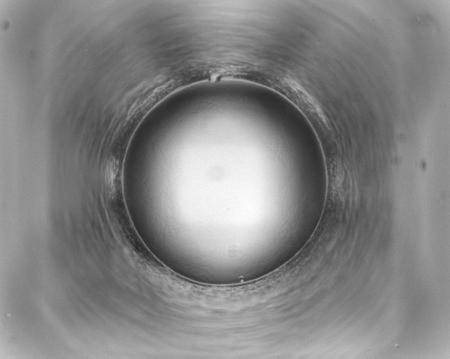 X0000088220026200705151424