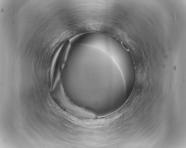 X0000088220027200705151424